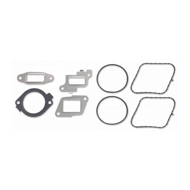 A set of various gaskets and metal components likely used in vehicle fuel systems.